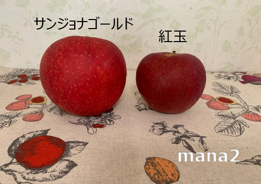 2種類のリンゴ