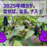 なせばなるナスアイキャッチ
