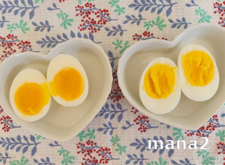 蒸し卵の比較