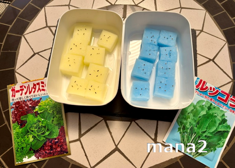 水耕栽培を始める