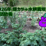 生活防衛アイキャッチ