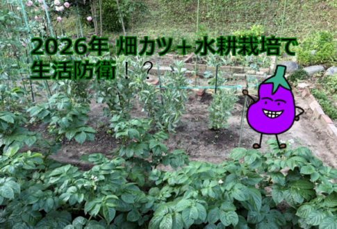 生活防衛アイキャッチ
